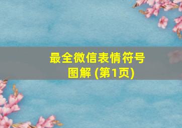 最全微信表情符号图解 (第1页)